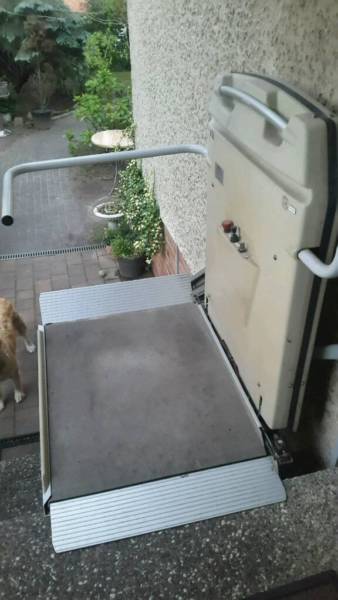 Hund neben Treppenlift stehend